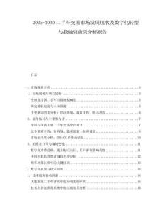 2025-2030二手車交易市場發展現狀及數字化轉型與投融資前景分析報告
