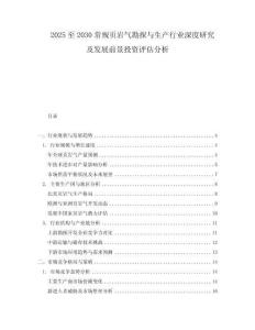 2025至2030常規(guī)頁(yè)巖氣勘探與生產(chǎn)行業(yè)深度研究及發(fā)展前景投資評(píng)估分析