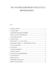 2025-2030智能電表通信模塊技術(shù)升級與泛在電力物聯(lián)網(wǎng)建設(shè)規(guī)劃報(bào)告