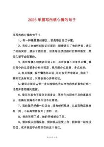 2025年描寫傷感心情的句子