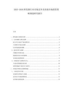 2025-2030揮發器行業市場競爭及高端市場投資策略規劃研究報告