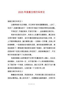 2025年我看文明行車作文