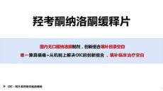 羥考酮納洛酮緩釋片1