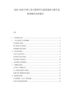 2025-2030中國工業(yè)互聯(lián)網(wǎng)平臺建設(shè)現(xiàn)狀與數(shù)字化轉(zhuǎn)型路徑分析報告