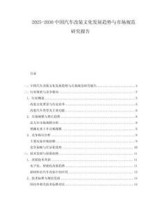 2025-2030中國汽車改裝文化發展趨勢與市場規范研究報告