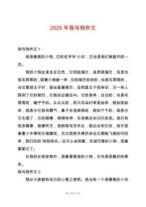2025年我與狗作文