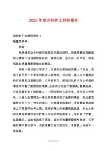 2025年急診科護士辭職報告