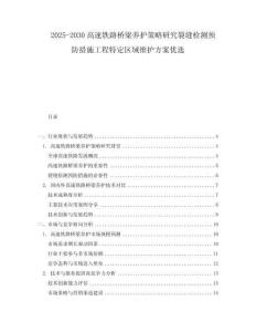 2025-2030高速鐵路橋梁養護策略研究裂縫檢測預防措施工程特定區域維護方案優選