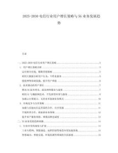 2025-2030電信行業用戶增長策略與5G業務發展趨勢