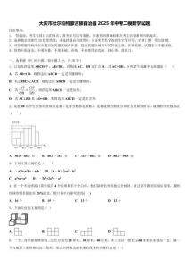 大慶市杜爾伯特蒙古族自治縣2025年中考二模數(shù)學試題含解析