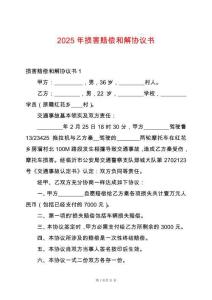 2025年損害賠償和解協議書