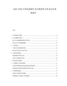 2025-2030中國電感器行業(yè)并購重組與資本運(yùn)作策略報告