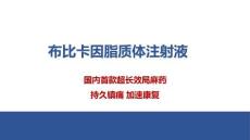 布比卡因脂質體注射液6