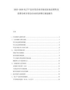 2025-2030電子產(chǎn)品應(yīng)用企業(yè)市場(chǎng)實(shí)際商品銷售及消費(fèi)分析并資金企業(yè)經(jīng)濟(jì)增長(zhǎng)規(guī)劃報(bào)告