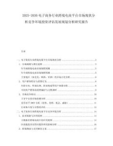 2025-2030電子商務行業跨境電商平臺市場現狀分析競爭環境投資評估發展規劃分析研究報告
