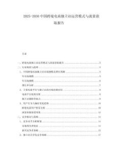 2025-2030中國跨境電商獨立站運營模式與流量獲取報告