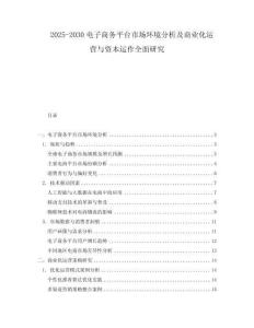 2025-2030電子商務(wù)平臺市場環(huán)境分析及商業(yè)化運營與資本運作全面研究