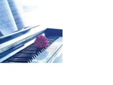 155個背景圖片(精品)2022優秀文檔