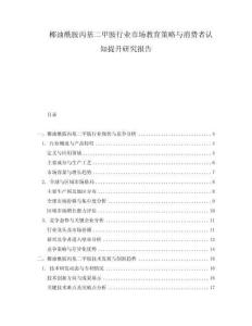 椰油酰胺丙基二甲胺行業(yè)市場教育策略與消費者認知提升研究報告
