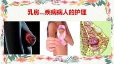 乳房疾病病人的護理查房培訓ppt
