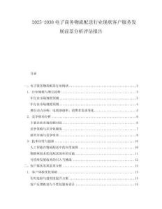 2025-2030電子商務物流配送行業現狀客戶服務發展前景分析評估報告