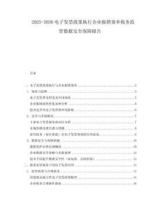 2025-2030電子發(fā)票政策執(zhí)行企業(yè)報(bào)銷效率稅務(wù)監(jiān)管數(shù)據(jù)安全保障報(bào)告