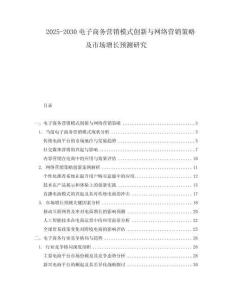 2025-2030電子商務(wù)營銷模式創(chuàng)新與網(wǎng)絡(luò)營銷策略及市場增長預(yù)測研究