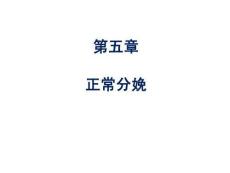 婦產(chǎn)科護(hù)理 課件05章- 正常分娩期母兒的護(hù)理