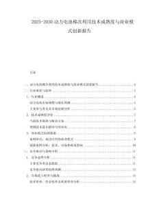2025-2030動力電池梯次利用技術成熟度與商業(yè)模式創(chuàng)新報告