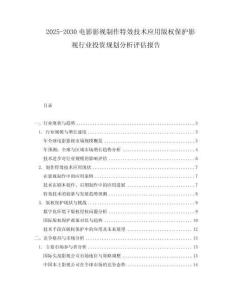 2025-2030電影影視制作特效技術應用版權保護影視行業投資規劃分析評估報告