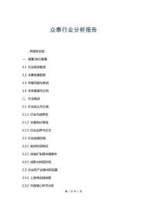 眾泰行業(yè)分析報(bào)告