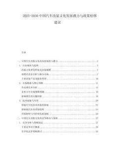 2025-2030中國汽車改裝文化發展潛力與政策松綁建議