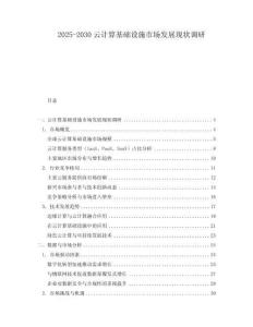 2025-2030云計算基礎設施市場發展現狀調研