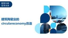 建筑陶瓷業(yè)的circulareconomy改造-洞察及研究