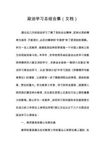 政治學(xué)習(xí)總結(jié)合集