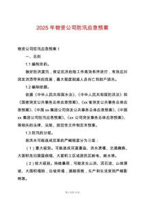 2025年物資公司防汛應急預案