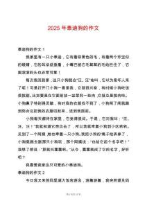 2025年泰迪狗的作文