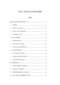 鹽漬土剖面鹽分遷移機理模擬