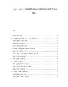 2025-2030中國(guó)碳捕集封存示范項(xiàng)目運(yùn)營(yíng)模式復(fù)盤報(bào)告