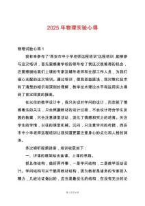 2025年物理實驗心得