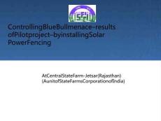 STATE-FARMS-CORPORATION-OF-INDIA-LIMITED-(A-…PPT文檔