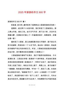 2025年游游的作文600字