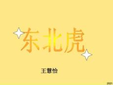 東北虎又稱西伯利亞虎PPT優秀資料