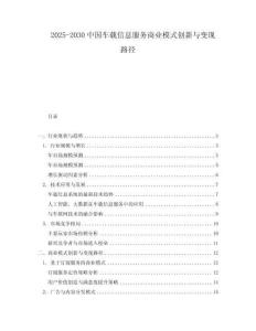 2025-2030中國車載信息服務商業模式創新與變現路徑
