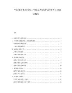 中國椰油酰胺丙基二甲胺品牌建設(shè)與消費(fèi)者認(rèn)知調(diào)研報(bào)告