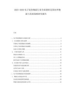 2025-2030電子商務物流行業全面調研及國內外物流與發展策略研究報告