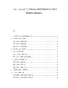 2025-2030電子支付行業市場供需現狀研判及投資模擬算法規劃報告