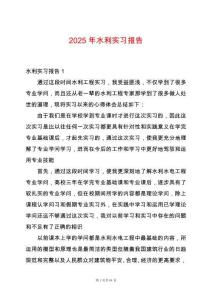 2025年水利实习报告