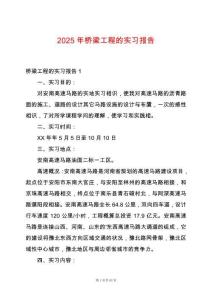 2025年橋梁工程的實習報告