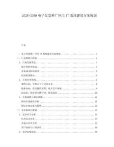 2025-2030電子發票推廣應用IT系統建設方案規劃